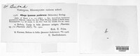 Image Associated With the Occurence